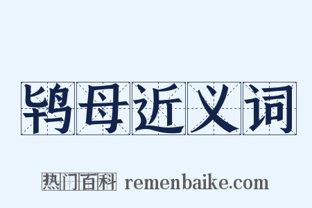 鸨母近义词是什么意思的图片